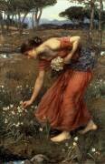 Narcisses (John William Waterhouse) - Muzeo.com