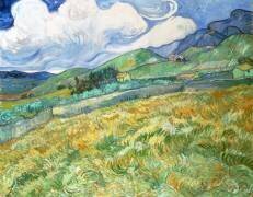 Paysage de Saint-Remy (Vincent van Gogh) - Muzeo.com