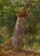 Paysage, études d'arbre (Rosa Bonheur) - Muzeo.com