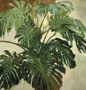 Philodendron (Nestor de la Torre) - Muzeo.com