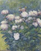 Pivoines (Blanche Hoschedé) - Muzeo.com