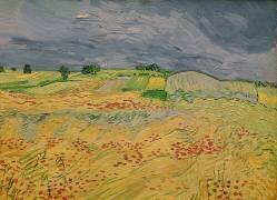 Plaine à Auvers (Vincent van Gogh) - Muzeo.com
