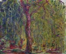 Saule pleureur (Claude Monet) - Muzeo.com