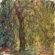 Saule pleureur (Claude Monet) - Muzeo.com