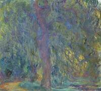 Saule pleureur (Claude Monet) - Muzeo.com