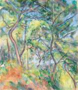 Sous-Bois (Paul Cézanne) - Muzeo.com