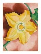 Squash Blossom, 1925 (Georgia O'Keeffe) - Muzeo.com