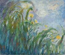 The Yellow Iris (Claude Monet) - Muzeo.com