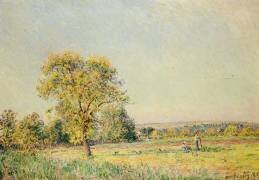 Un jour d'été (Alfred Sisley) - Muzeo.com