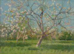 Vergers en fleurs (Laszlo Mednyanszky) - Muzeo.com