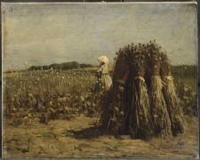 Champ d'oeillettes (Pierre Billet) - Muzeo.com