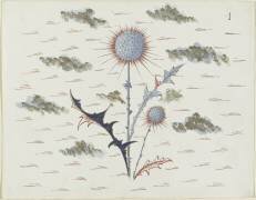 Chardon (Louis Hestaux) - Muzeo.com