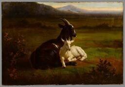 Les chèvres (Jacques-Raymond Brascassat) - Muzeo.com