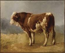 Taureau (Jacques-Raymond Brascassat) - Muzeo.com