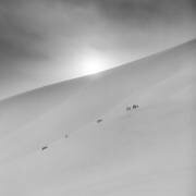 - 20 (Asmund Kvarnstrom) - Muzeo.com