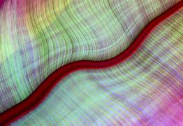 A Red River Runs Through It (Robin Wechsler) - Muzeo.com