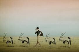 Africa IV (Christine von Diepenbroek) - Muzeo.com