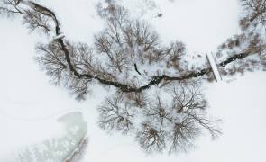 After snow (Wei (David) Dai) - Muzeo.com