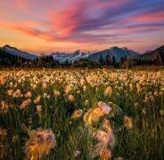 Alaska (Raimondo Restelli) - Muzeo.com