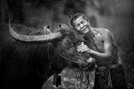 Ami d'amour (Sarawut Intarob) - Muzeo.com