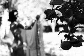 Apples II (Inese Kreigere) - Muzeo.com