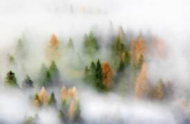 Autumn Dream (Kristjan Rems) - Muzeo.com
