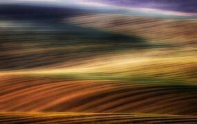 Autumn fields (Piotr Krol (Bax)) - Muzeo.com