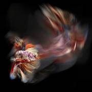 Bettafish Path (Antonyus Bunjamin (Abe)) - Muzeo.com