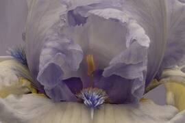 Blue Lagoon (Richard Urbanski) - Muzeo.com