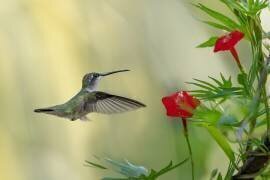 Petit-déjeuner (Binbin L.) - Muzeo.com