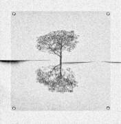 Toile brisée (Harry Verschelden) - Muzeo.com