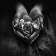 Caring hands (Nima.zadshir) - Muzeo.com