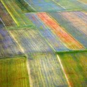 Castelluccio 4 (Massimo Della Latta) - Muzeo.com