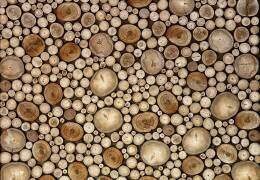 Circles (Aida Ianeva) - Muzeo.com