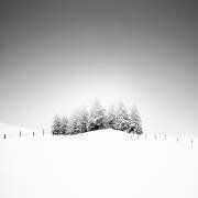 Cohésion (Alexej Schulz) - Muzeo.com