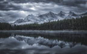 Cold Mountains (Michael Zheng) - Muzeo.com