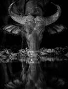 Concentration (Jaco Marx) - Muzeo.com