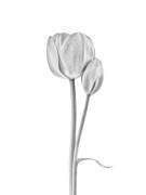 Connecté (Lotte Gronkjar) - Muzeo.com