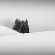 Contes enneigés (Ronny Behnert) - Muzeo.com