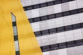 Continuation (Jacqueline Hammer) - Muzeo.com