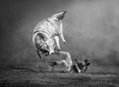 Counterattack (Irene Yu Wu) - Muzeo.com