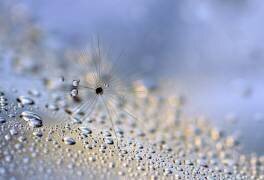 Ramper vers le bas (Heidi Westum) - Muzeo.com