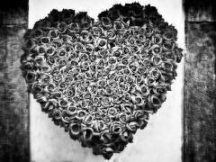 Cœur (Steffen Ebert) - Muzeo.com