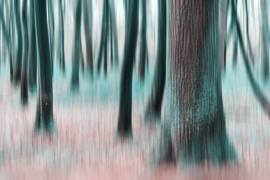 Dancing Trees (Michael) - Muzeo.com