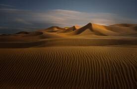 Desert (John-Mei Zhong) - Muzeo.com