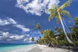 Desert Island (Karsten Wrobel) - Muzeo.com