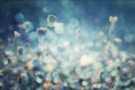 Diamonds (Stefan Eisele) - Muzeo.com