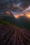 Dissolution (Ryan Dyar) - Muzeo.com