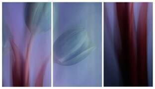 Dropp off (Ibrahim Nabeel) - Muzeo.com