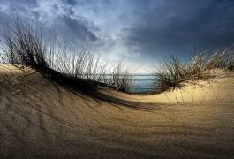 Dunes (Wim Schuurmans) - Muzeo.com